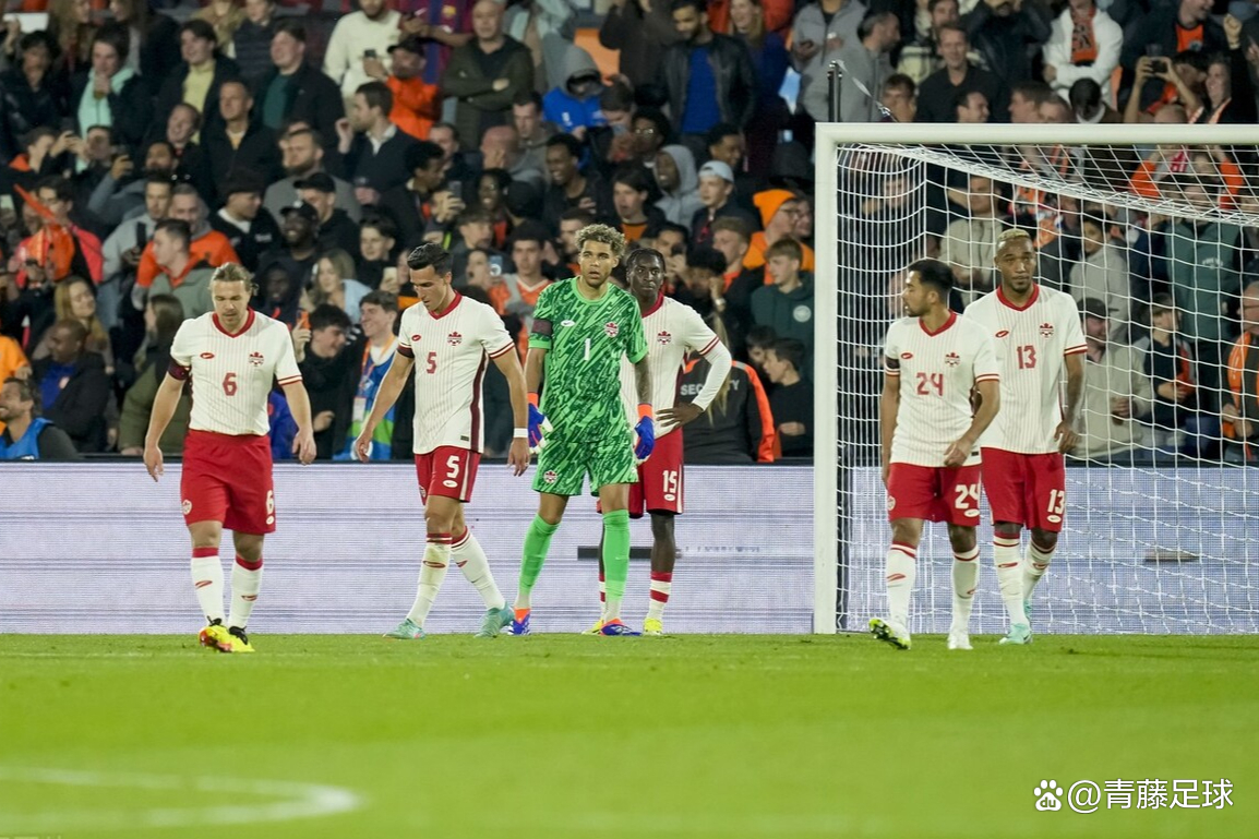 法国主场-战胜波黑，小组第一位置保持不变的简单介绍